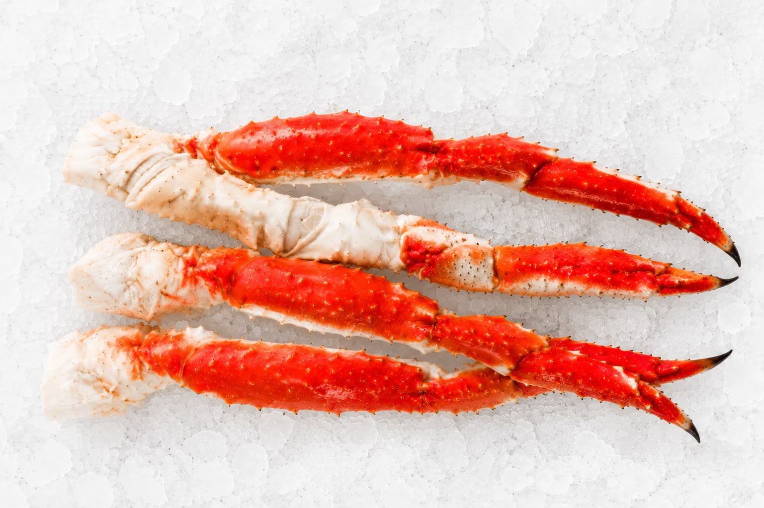 Crab